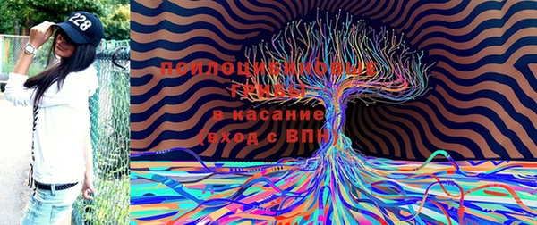 spice Алзамай