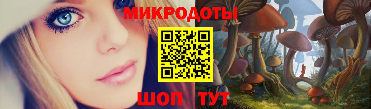 Псилоцибиновые грибы Psilocybine cubensis Миллерово